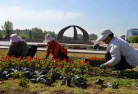 Бишкек заиграет новыми красками