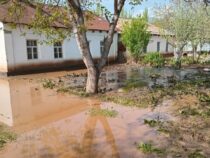 В нескольких районах Ошской области сошли селевые потоки