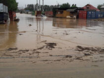 Почти 50 дворов затопили селевые потоки в Сузакском районе