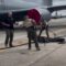 В США аллигатор парализовал работу военно-воздушной базы