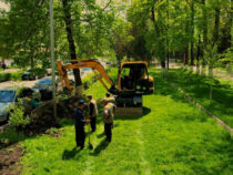 В Бишкеке продолжается работа по реконструкции зеленых зон