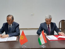 Кыргызстан и Таджикистан согласовали еще более 28 км госграницы