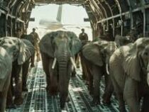 Ботсвана пригрозила отправить в ФРГ 20 тыс. слонов