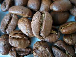 Ученые выяснили, когда на Земле появился самый популярный вид кофе