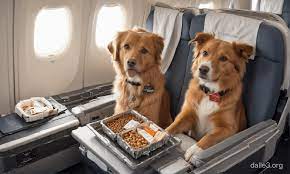 В США появилась первая в мире авиакомпания для собак