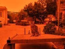 Небо Греции окрасилось в оранжевый из-за африканской песчаной бури
