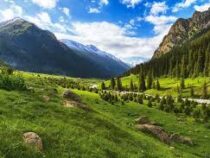 Всемирный банк выделит Кыргызстану кредит на  восстановление ландшафтов