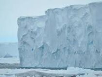 Ученые бьют тревогу из-за постоянного движения крупнейшего ледника Антарктиды