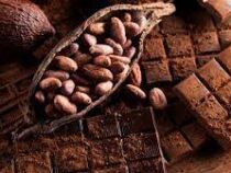 Мировые цены на какао-бобы выросли до максимума