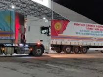 Казахстан получит 300 тонн гуманитарной помощи от Кыргызстана