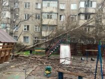 Ветер в Бишкеке. Режим ЧС продлится до полной ликвидации всех последствий