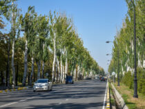 Сегодня в Бишкеке ожидается рекорд температуры