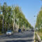 Сегодня в Бишкеке ожидается рекорд температуры