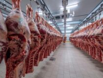 В Балыкчи запущен крупнейший в стране  мясокомбинат