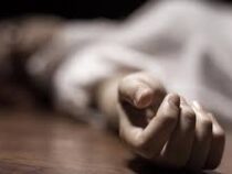В Таласе убиты женщина и двое малолетних детей