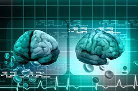 Учёные измерили объём памяти мозга человека