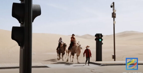В китайской пустыне установили верблюжьи светофоры