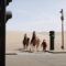 В китайской пустыне установили верблюжьи светофоры