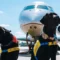 В США начала работу первая в мире авиакомпания для собак