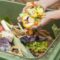 Пищевые отходы перерабатывают в удобрения в ОАЭ