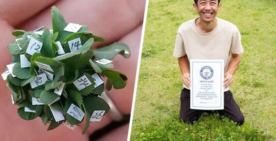 Японец вырастил 63-листный клевер