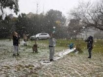 На Южную Африку обрушились мощные снегопады