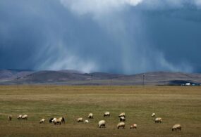 В горных и предгорных районах Кыргызстана ожидается неустойчивая погода