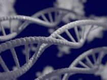 ИИ исправляет гены наследственных болезней