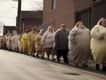 В мире более чем вдвое увеличился процент людей, страдающих ожирением