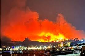 Лесные пожары бушуют в турецкой провинции Измир