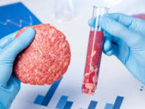 Великобритания первой в Европе одобрила продажу искусственного мяса