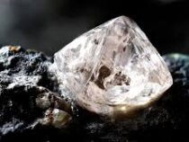 Индийский рабочий выкопал алмаз стоимостью 95 000 долларов