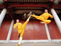 В Гонконге прошел китайский карнавал боевых искусств и танцев